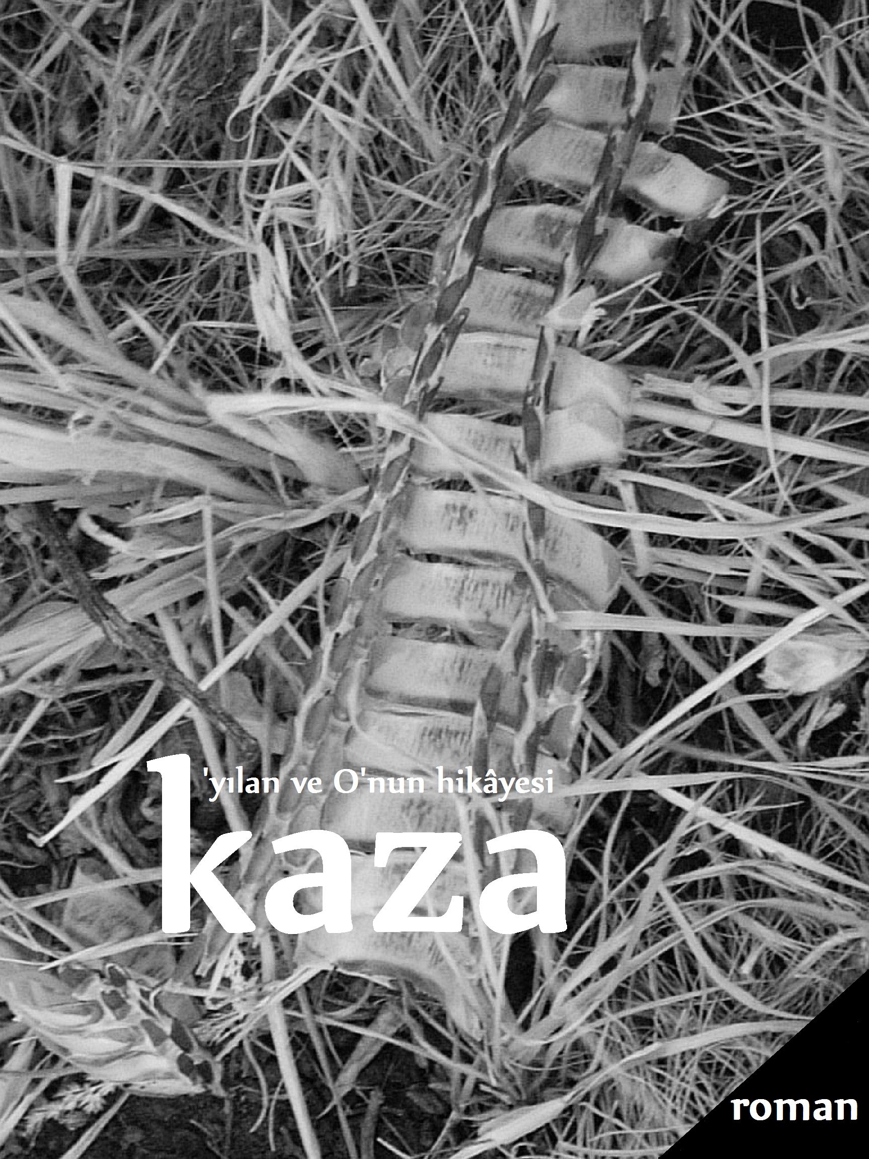 kaza-roman