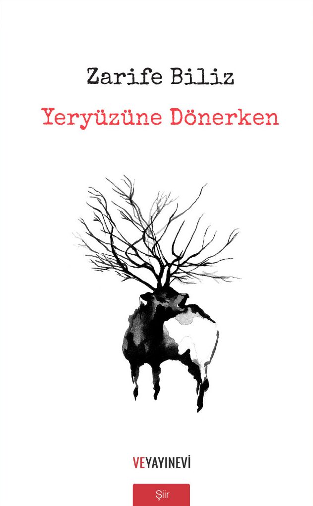 yeryzne dnerken